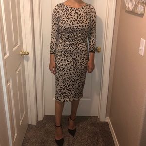 Roberto Cacalli Abito Knitted leopard print dress.